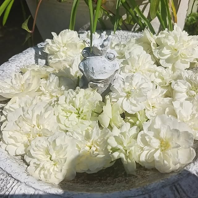 aiさんの部屋