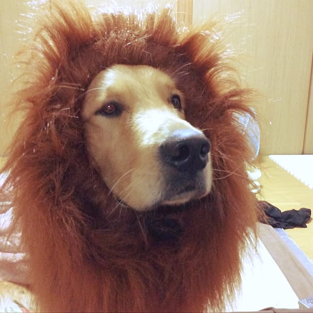 fruity anさんの実例写真