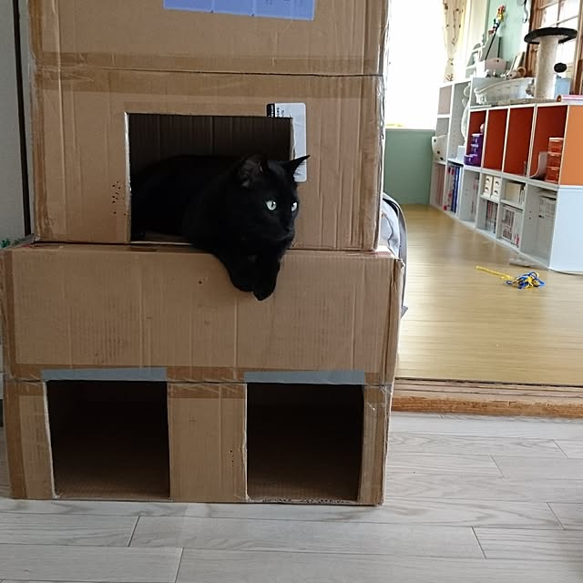 taleo07さんの実例写真