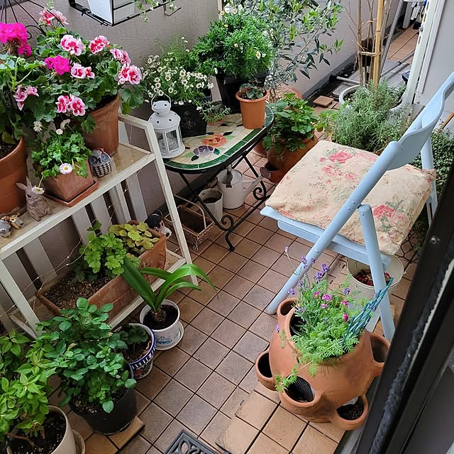 berryberryさんの部屋