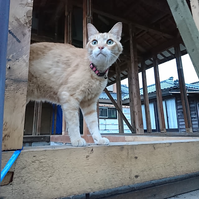 keiさんの実例写真