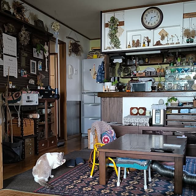 koyutan-mjmさんの部屋