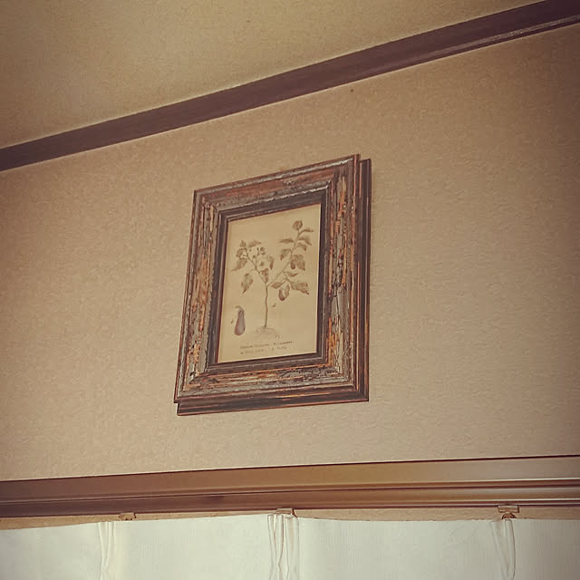 junkn6さんの実例写真
