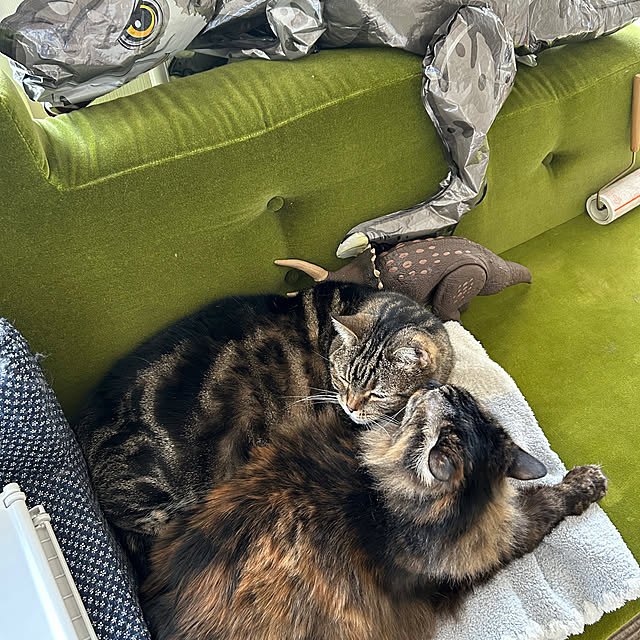 mikomaruさんの部屋