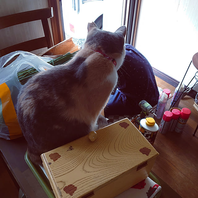fukuさんの実例写真