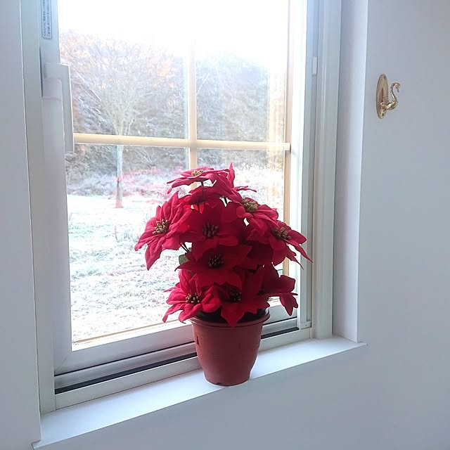 strawberry_jellyさんの実例写真