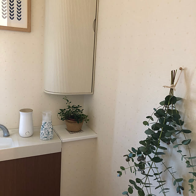 satoさんの実例写真