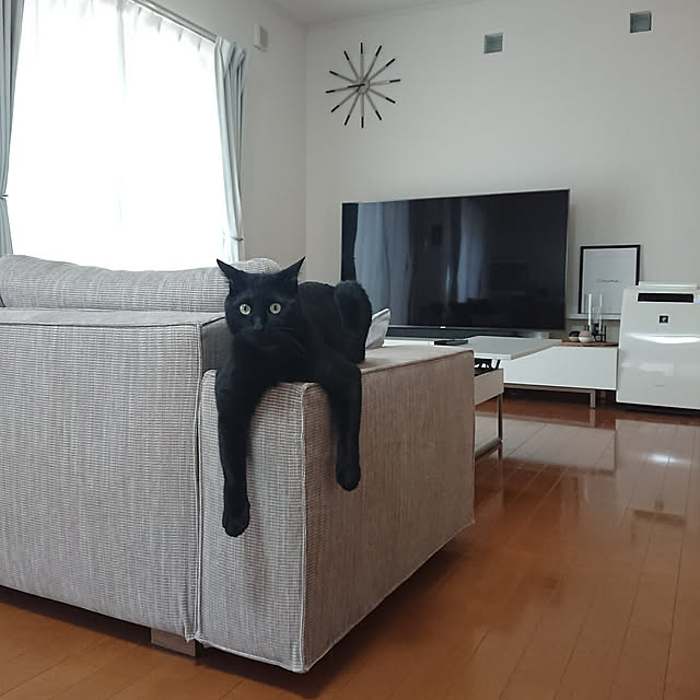 maikyさんの実例写真