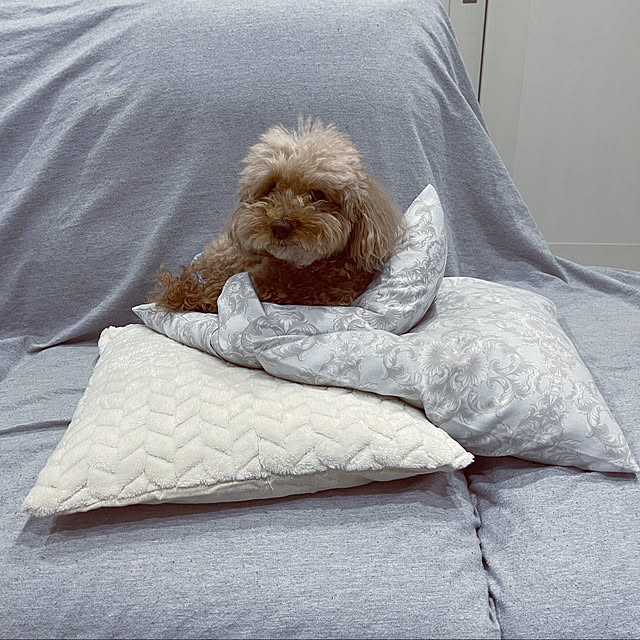 chikaさんの実例写真