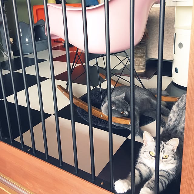 Shojiさんの実例写真