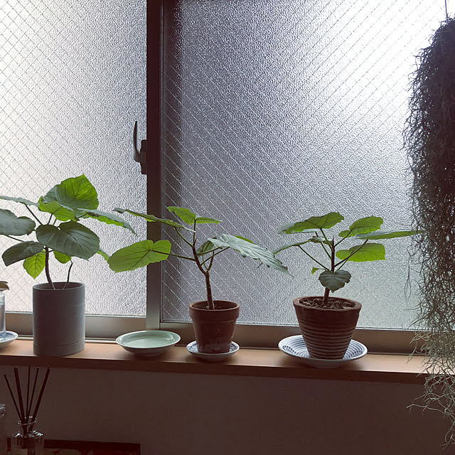 manabuさんの実例写真