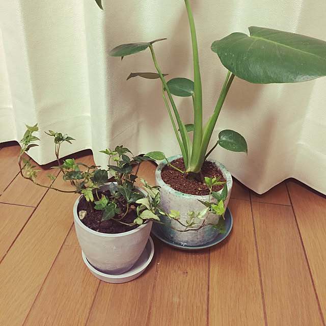 ryokoさんの実例写真