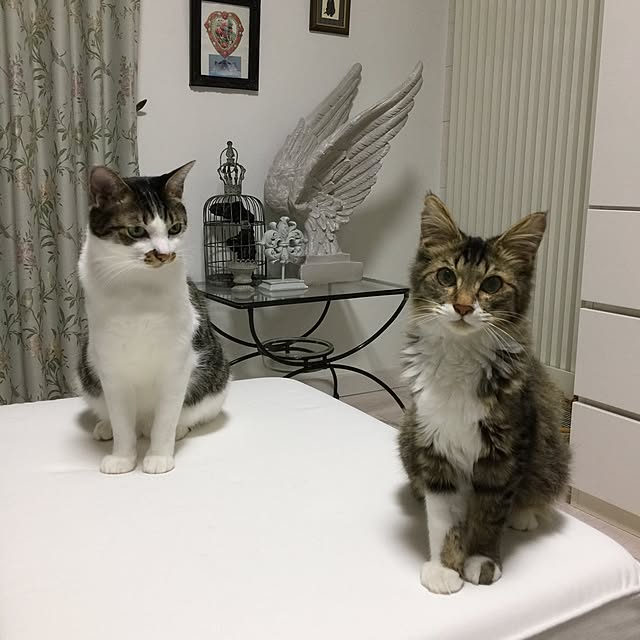 yuchiさんの実例写真