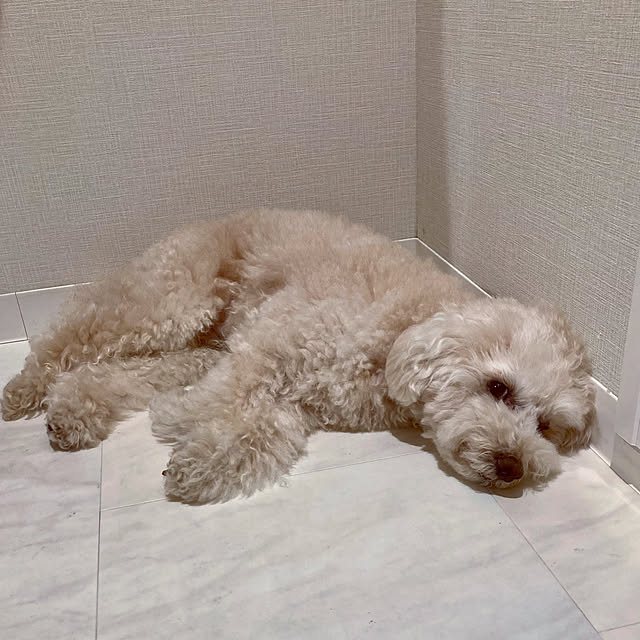 madamkaoriさんの部屋