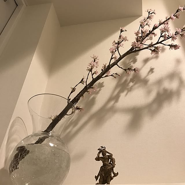 shocopin0505さんの実例写真