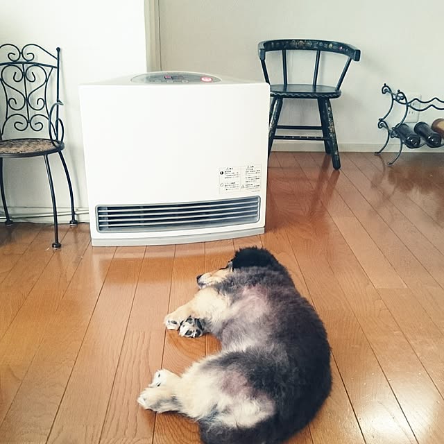 hiyo.pietさんの実例写真