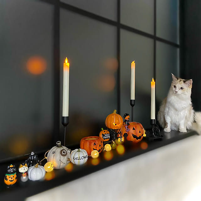 mokkoさんの実例写真