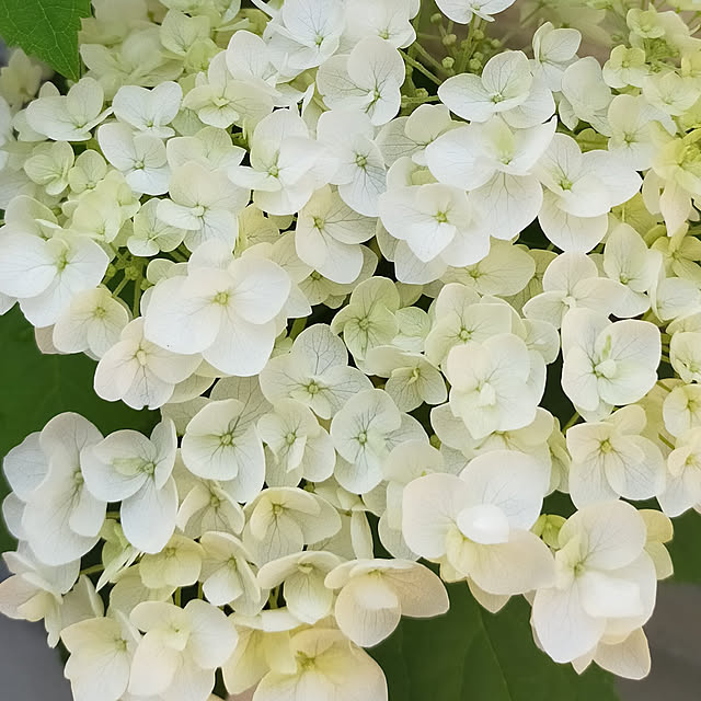 JKさんの実例写真