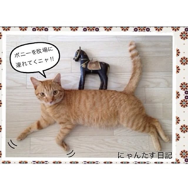 n-sanさんの実例写真