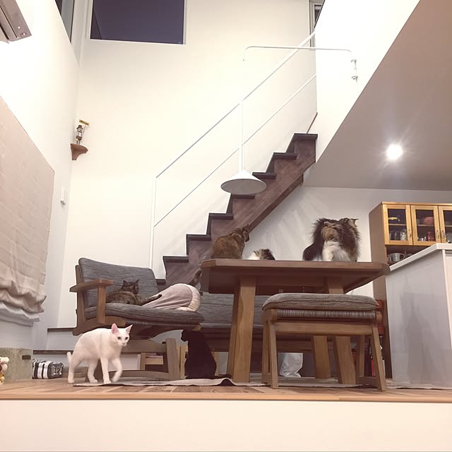 paipan720さんの実例写真
