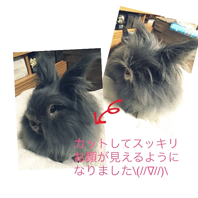 8717さんの実例写真