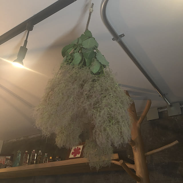 fgtomatoes0560さんの実例写真