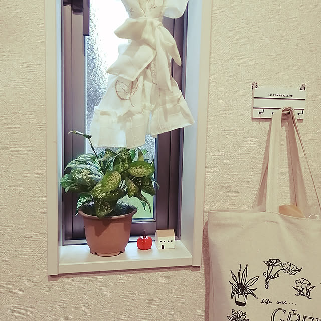tomomiさんの実例写真