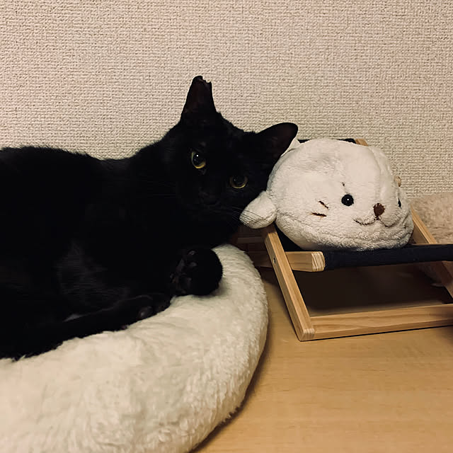 umetanさんの実例写真