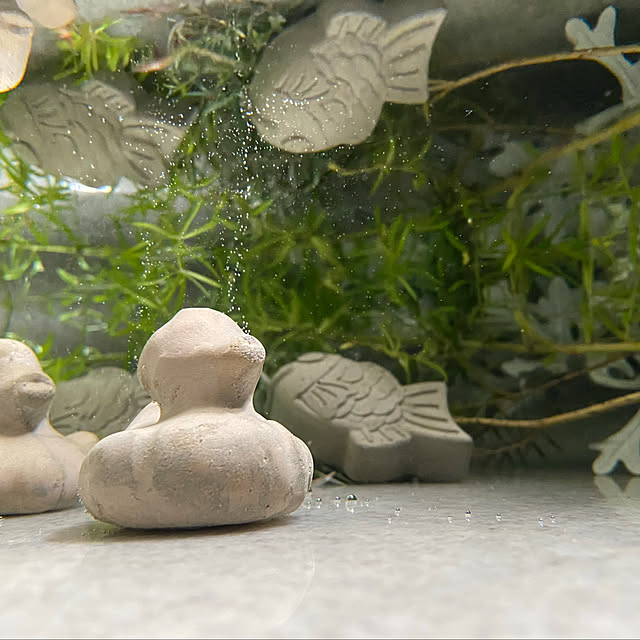 mukuさんの部屋