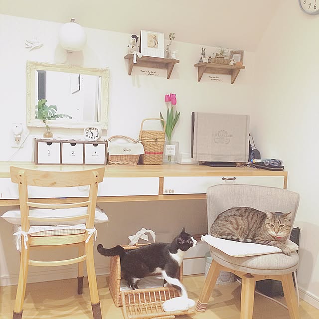 lovecatさんの実例写真
