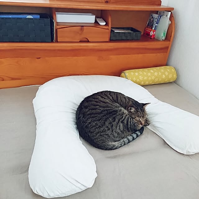 nachiさんの部屋