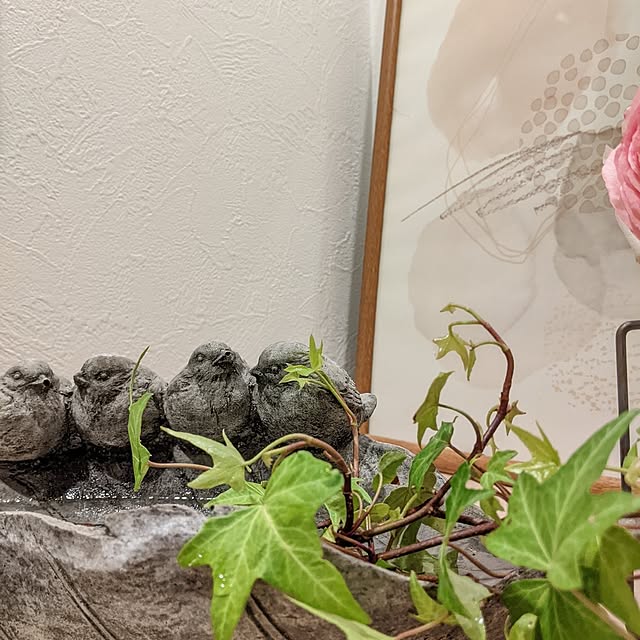 Sakura_hanaさんの部屋