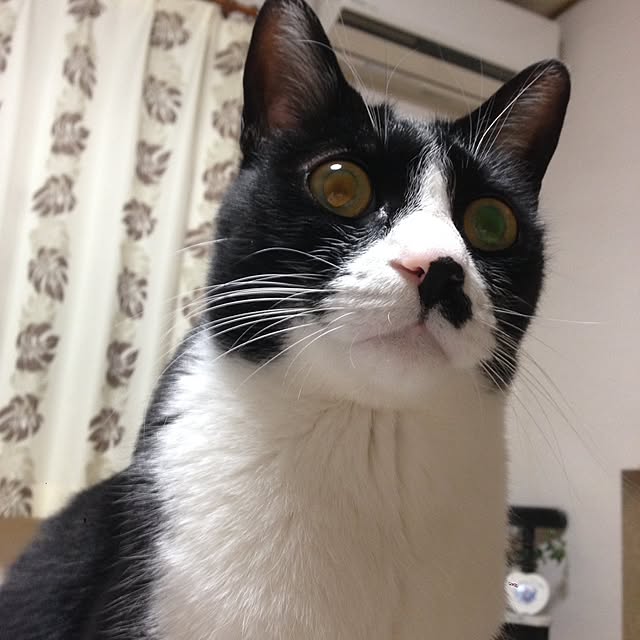 Kinanさんの実例写真