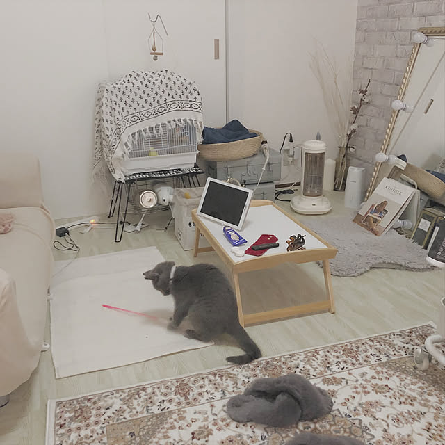 r______asさんの実例写真