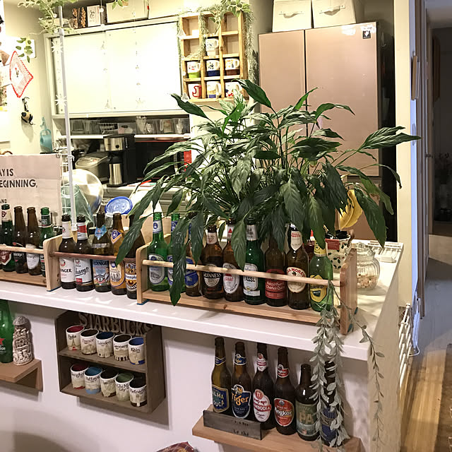 molpieさんの実例写真