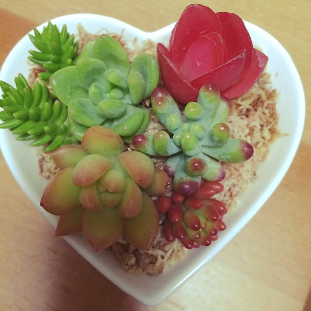 mayuminさんの実例写真