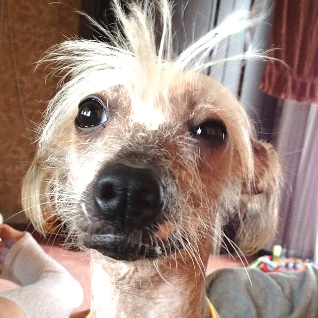 Emiさんの実例写真