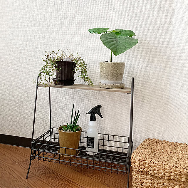 mowさんの実例写真