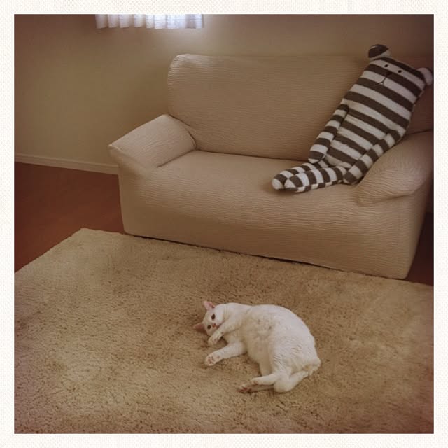 mameさんの実例写真