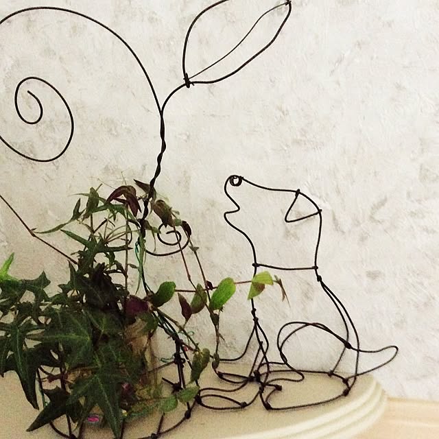 Setukoさんの実例写真
