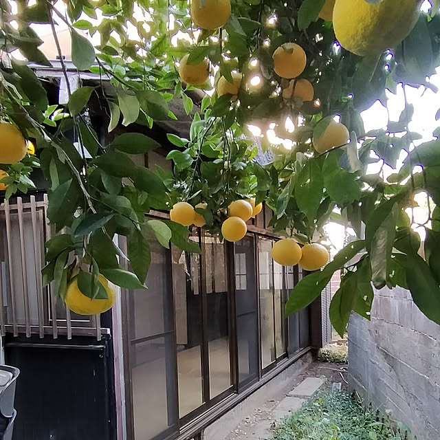 amandaさんの実例写真