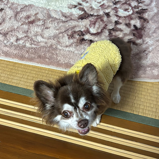 chIoeさんの実例写真