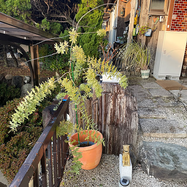 shin0719さんの実例写真