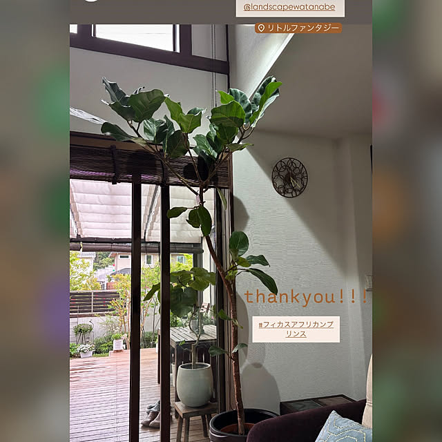 maimai0110さんの部屋