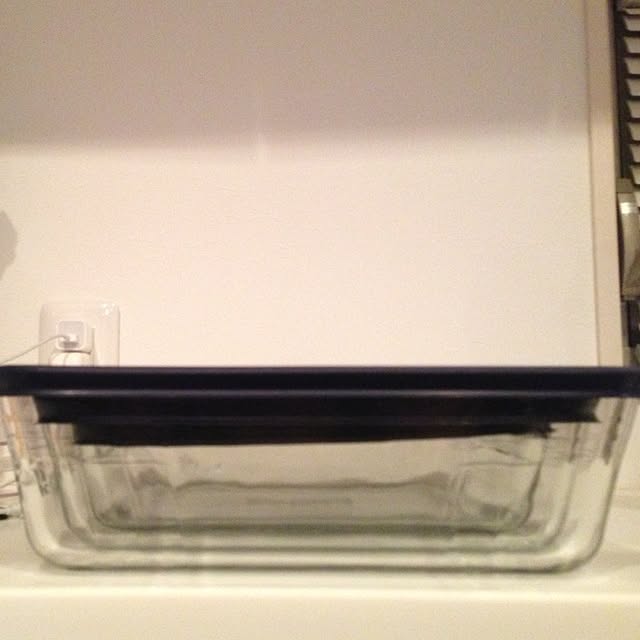 FXさんの実例写真