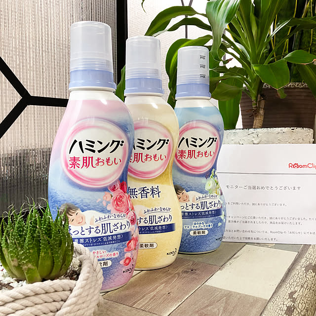 KirinPandaさんの実例写真