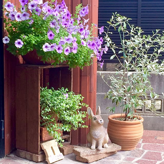 bibianさんの実例写真