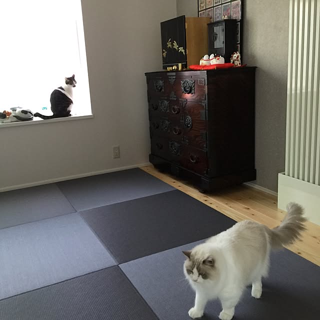 yuchiさんの実例写真