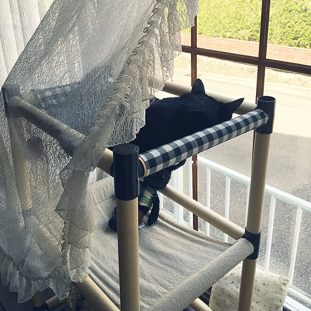 mahi1101さんの実例写真