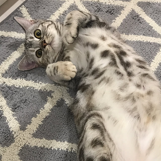 tajaboさんの実例写真